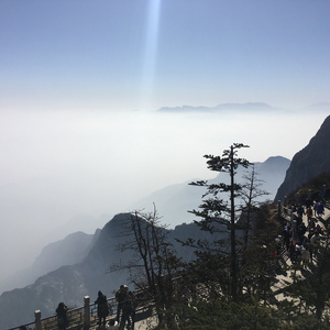 美女露胸秘网站
