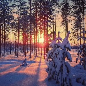 美女露胸秘网站
