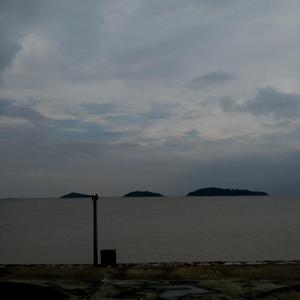 美女露胸秘网站
