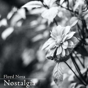 美女露胸秘网站
