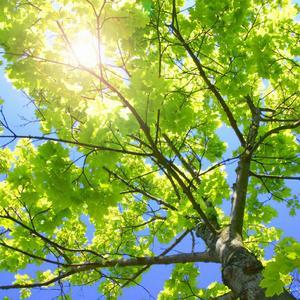 美女露胸秘网站
